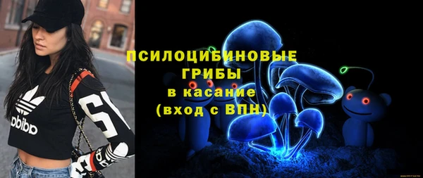 амф Абаза