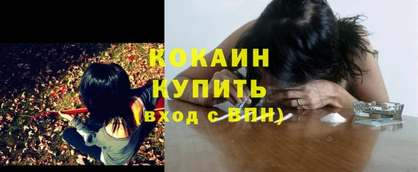 молекула духа Заволжье
