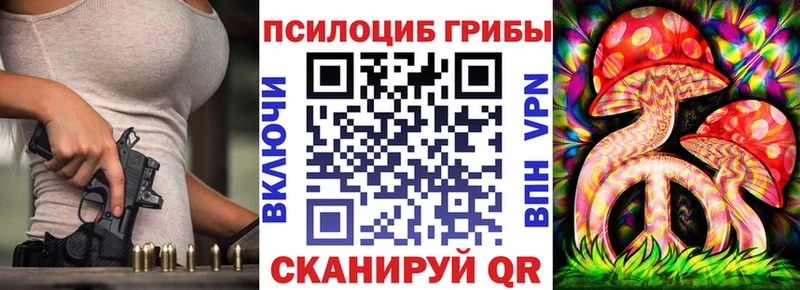 Галлюциногенные грибы Psilocybe  где купить   Щёлкино 